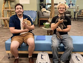 Harper and Hayes adoption.jpg