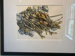 That Time We Went to the Wells Maine Reserve