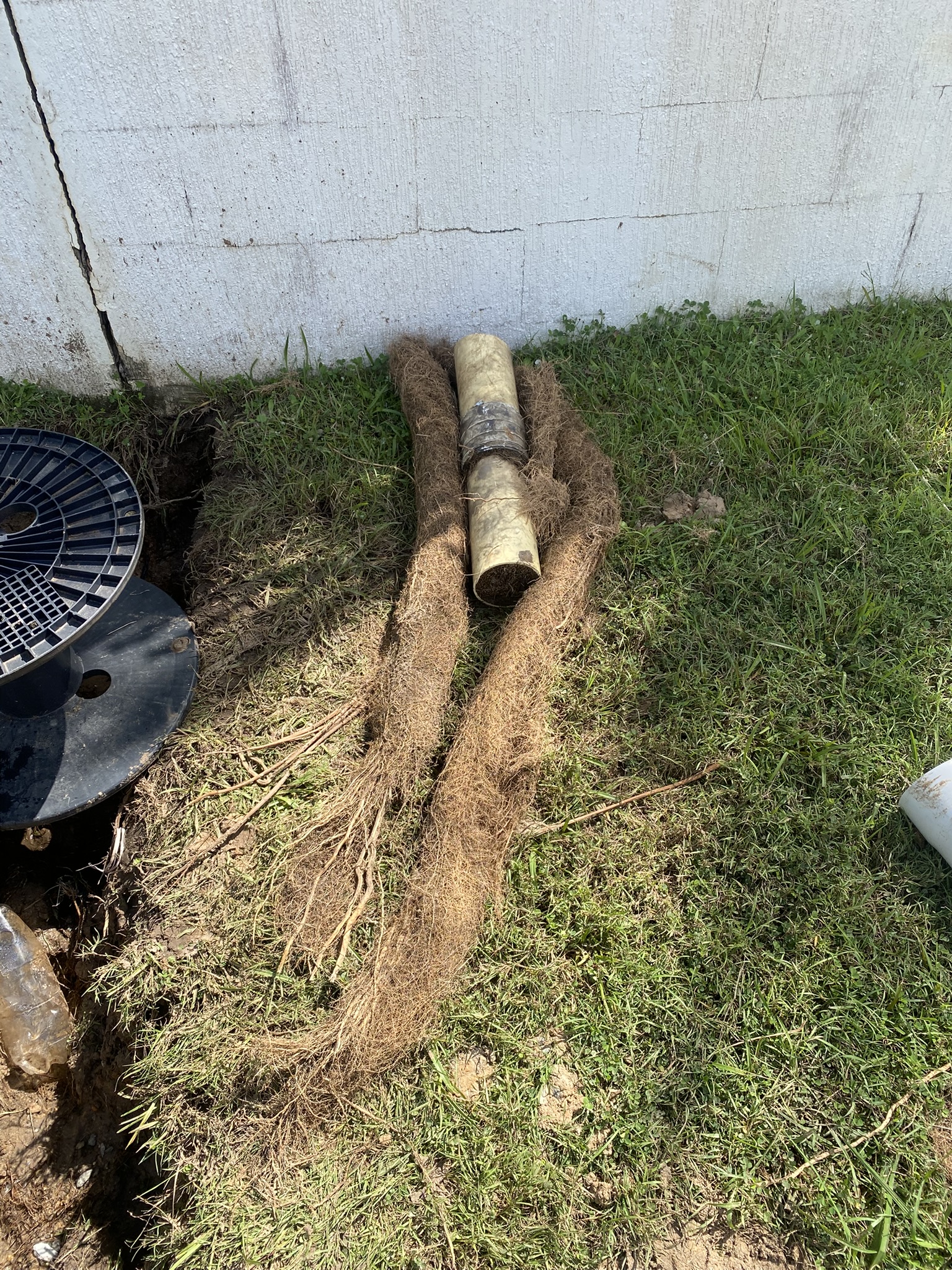 Tree root damaged pipe repair