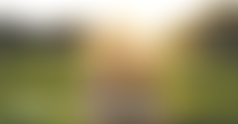 Worauf kommt es im Leben an?