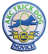 novicepatch.png