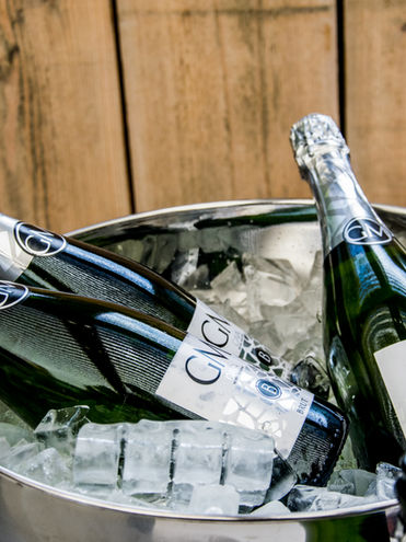 Corporate Event Photography