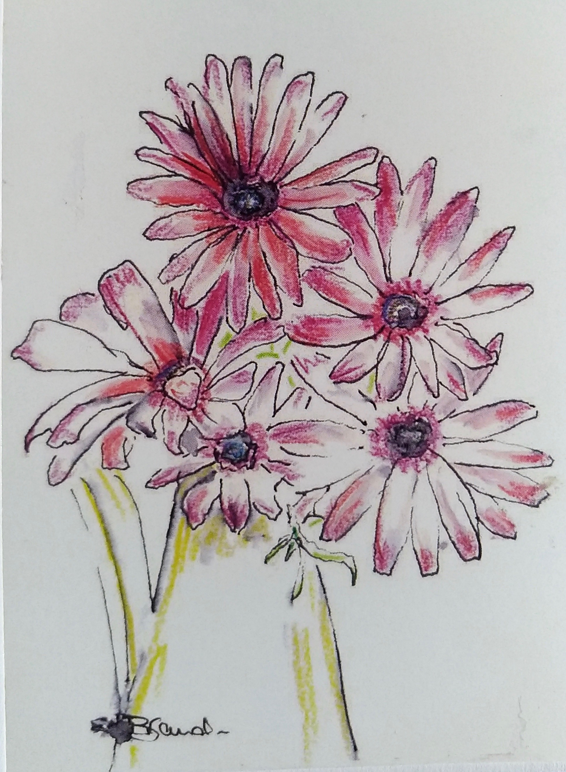 Claire's garden