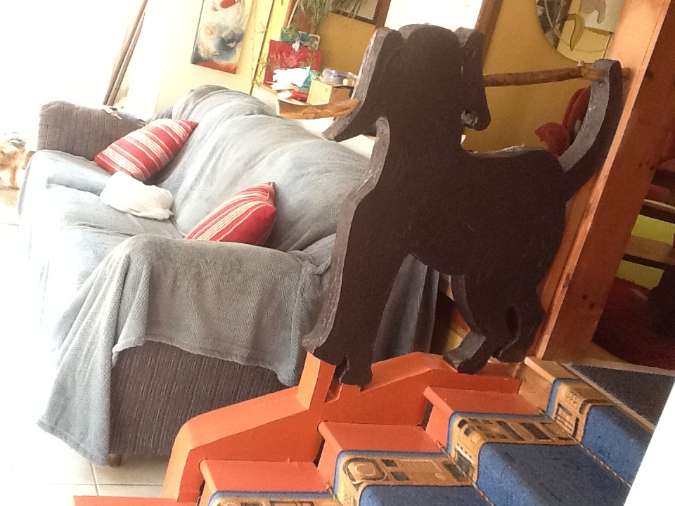 Dog Handrail