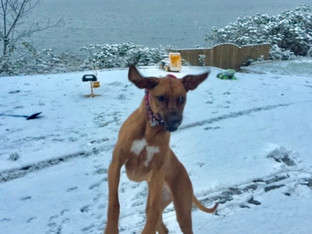 The joys of Winter