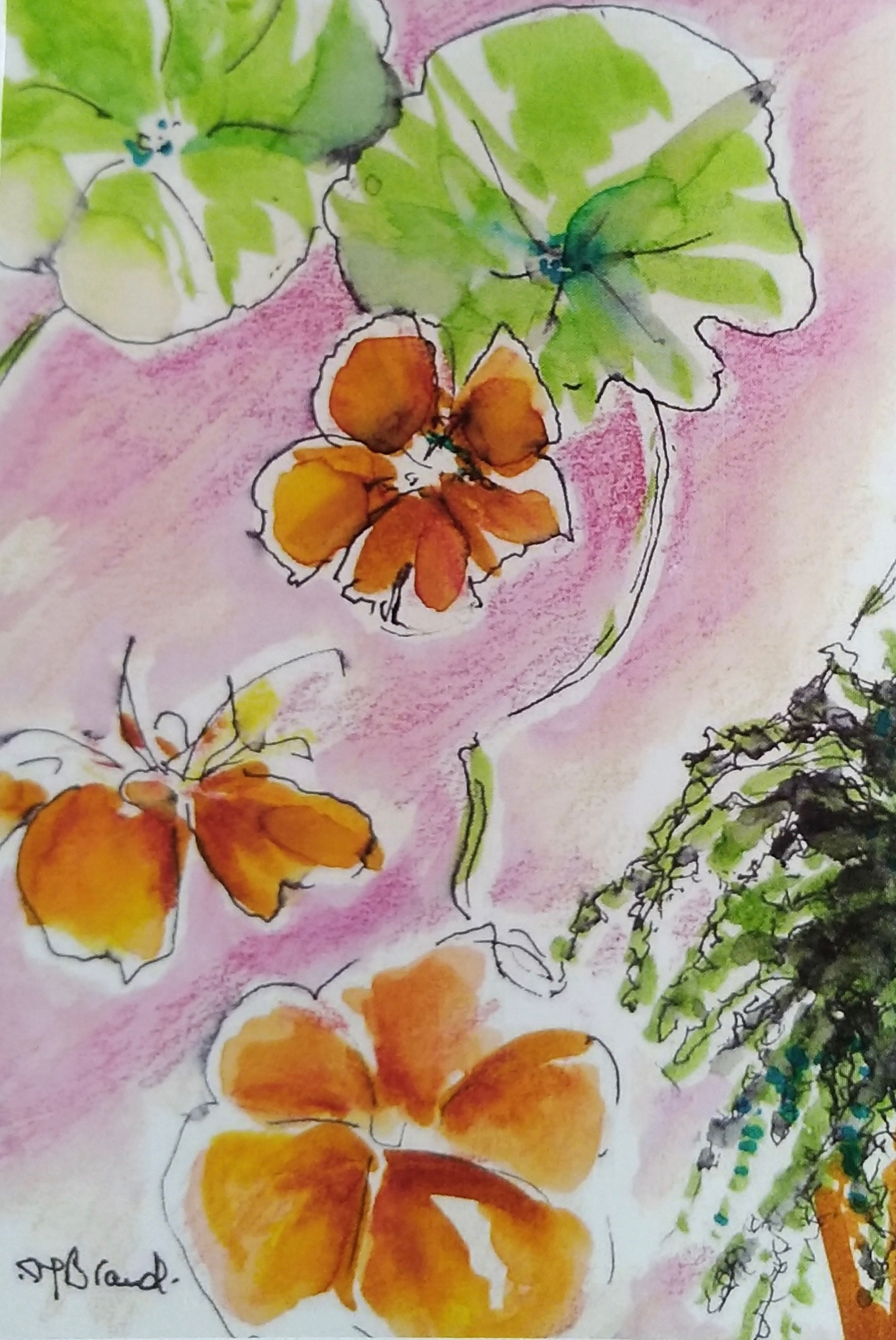 Claire garden