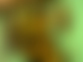 A Spiritual Metamorphosis