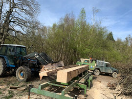Sawmill 4.HEIC