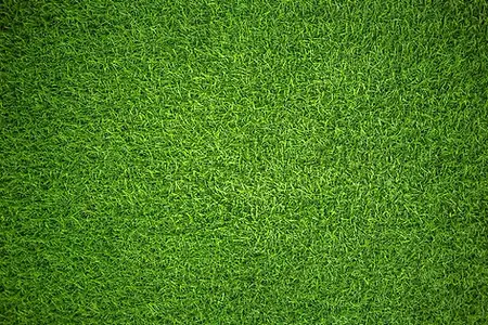 Artificial Grass Sutherland Shire