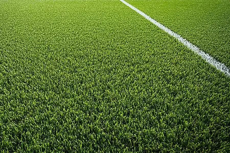 Synthetic Grass Sutherland Shire