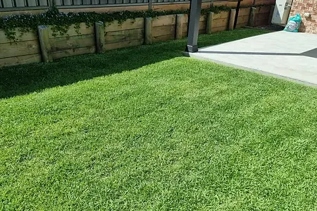 Lawn Mowing Raymond Terrace