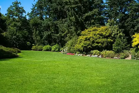 Lawn Mowing Medowie
