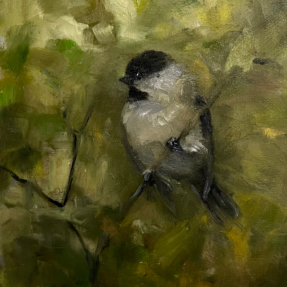 Chickadee