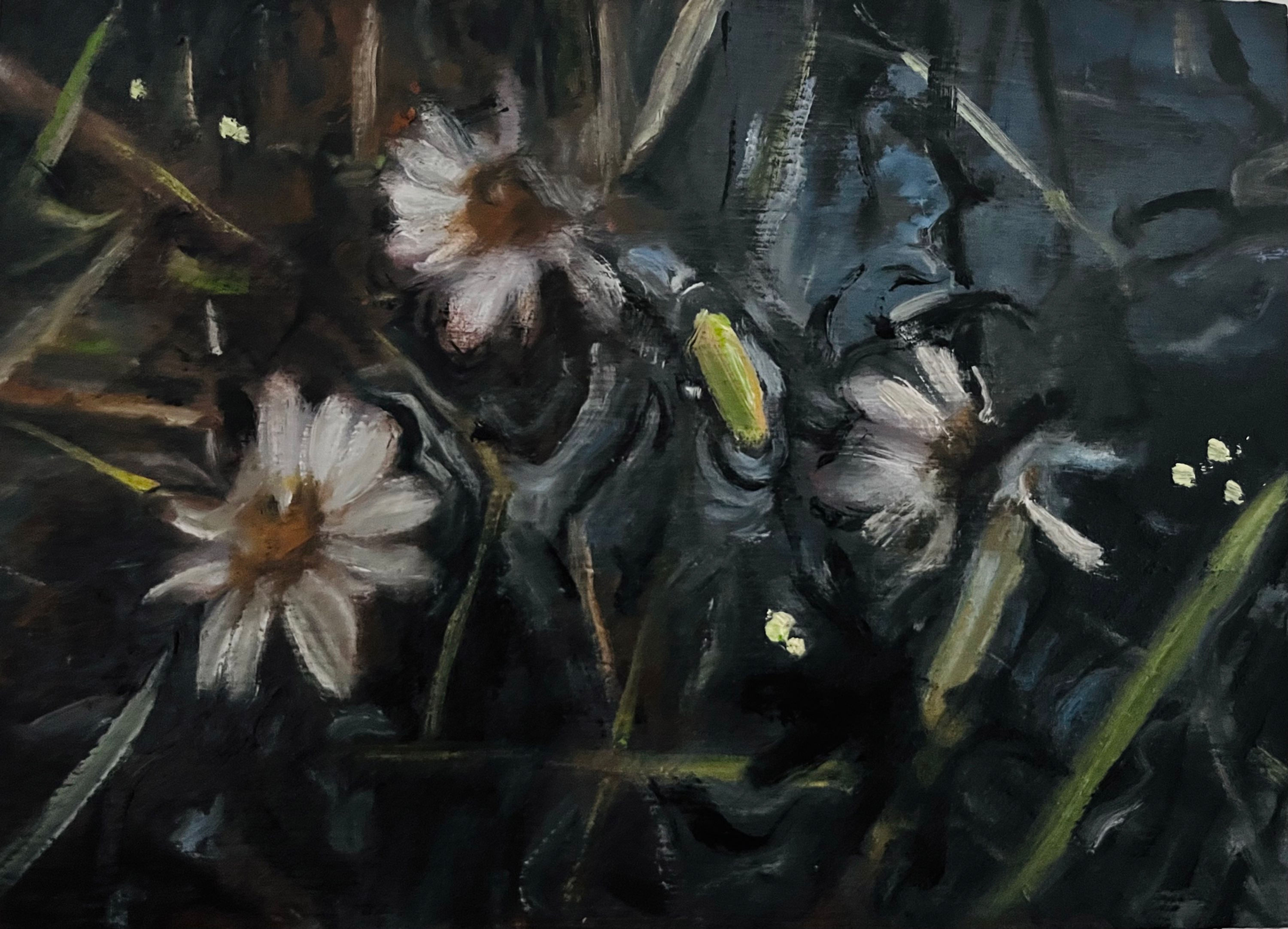 Little Flooded Daisies Study