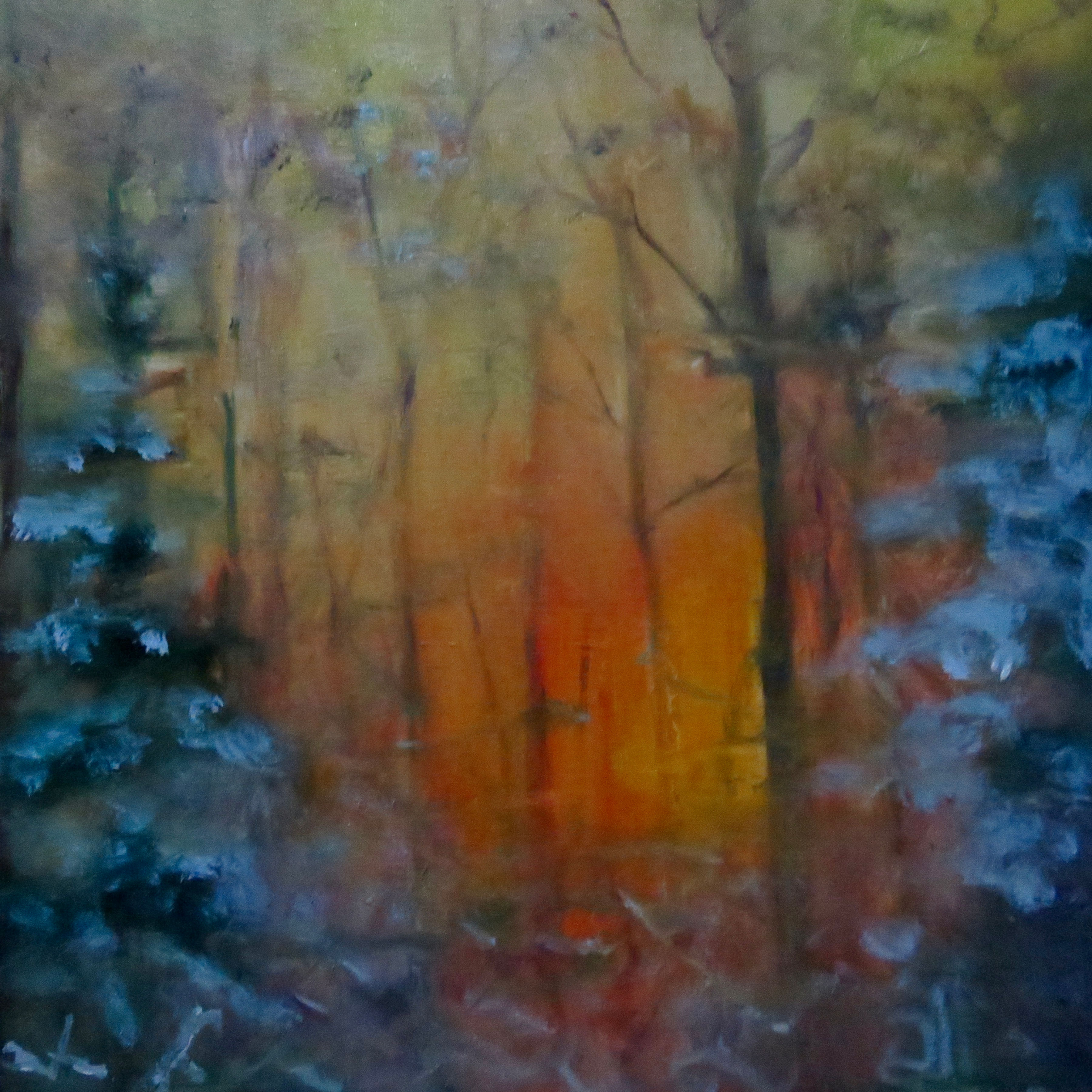 January Sunrise 22/300