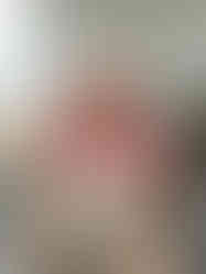 toilettage débourage d'un samoyede