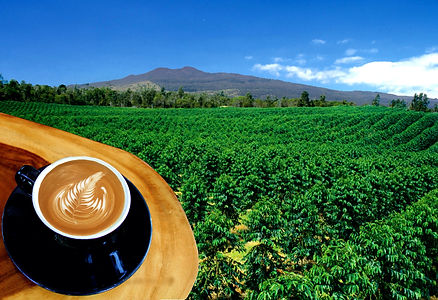Farm%2Bwith%2BCoffee%2BCup_edited.jpg