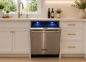 dishwasher repair.png