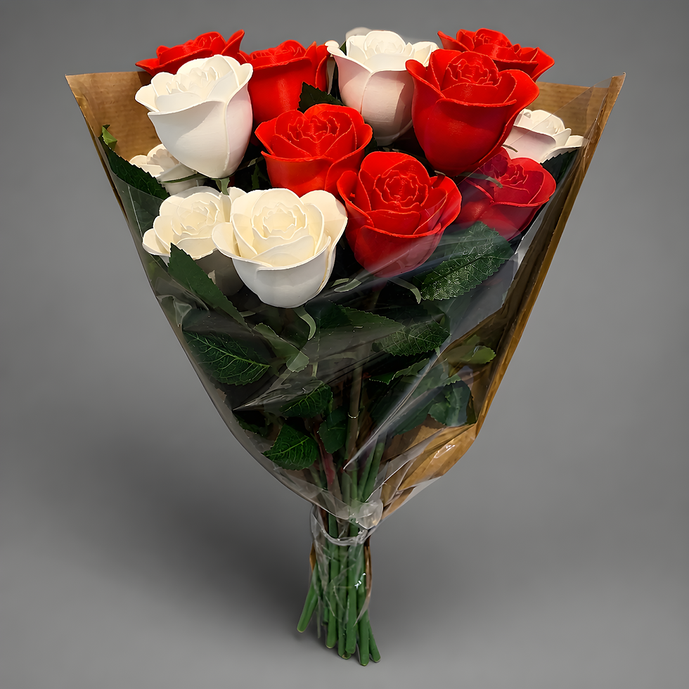 IMG_0942.PNG