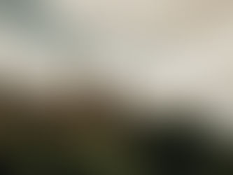 2021 Federal Election 