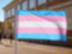 trans school
