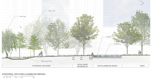 WETLAND AND RIVER SECTION.png
