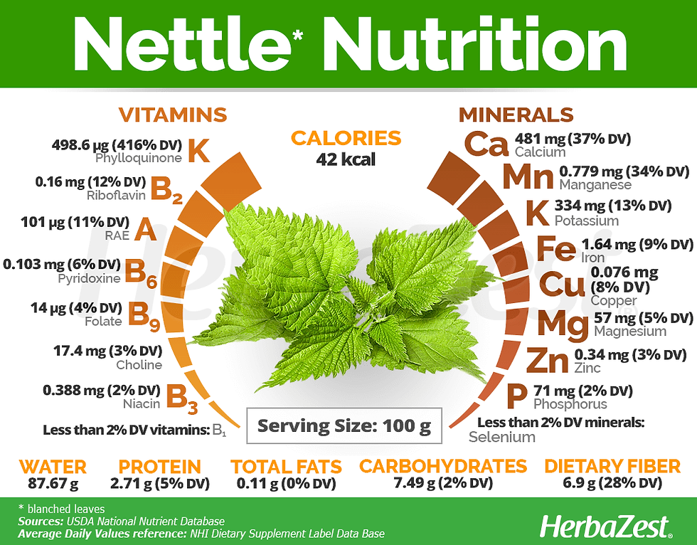 Thumbnail:  Stinging Nettle Leaf 1 oz
