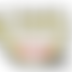 ローレル、写真、賞状、動画 / 第5回311ジコサポ国際映画祭2027