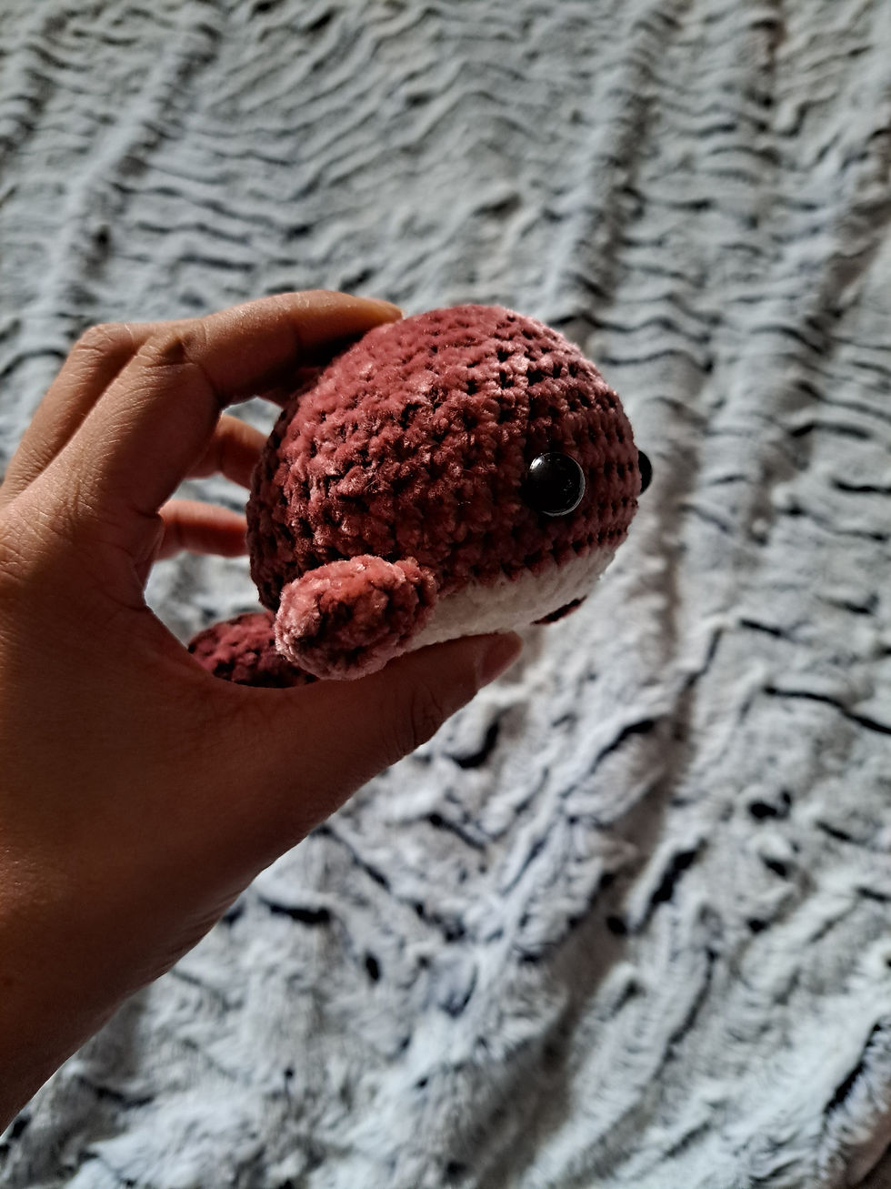Miniature : Baleine couleur unie