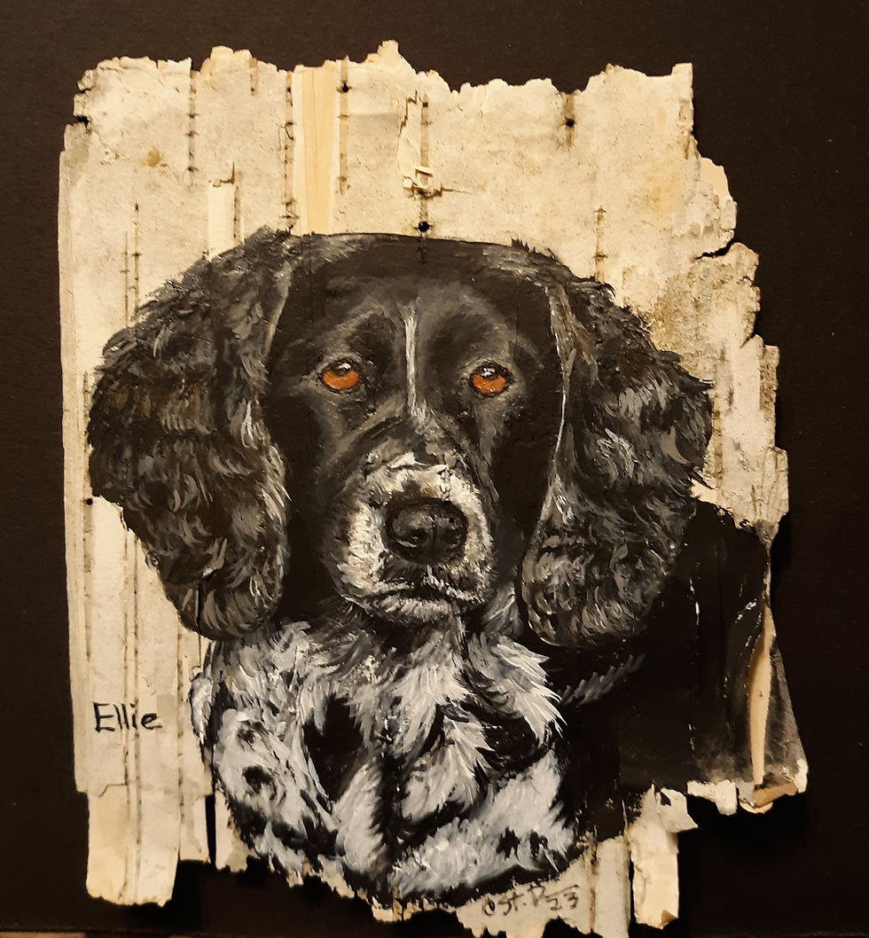 Ellie - acrylic on Maine birch bark