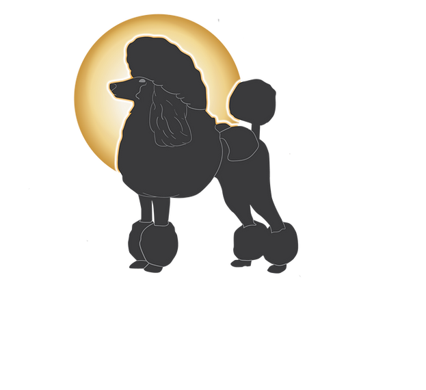 Abby Logo design - PNG - Transparent wit