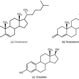 Bioidentical Hormone Therapy Pellets and Medications - Which is Right for You?
