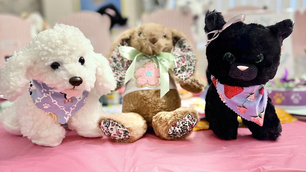 At Home Kids Stuffed Animal Making Party in Arizona