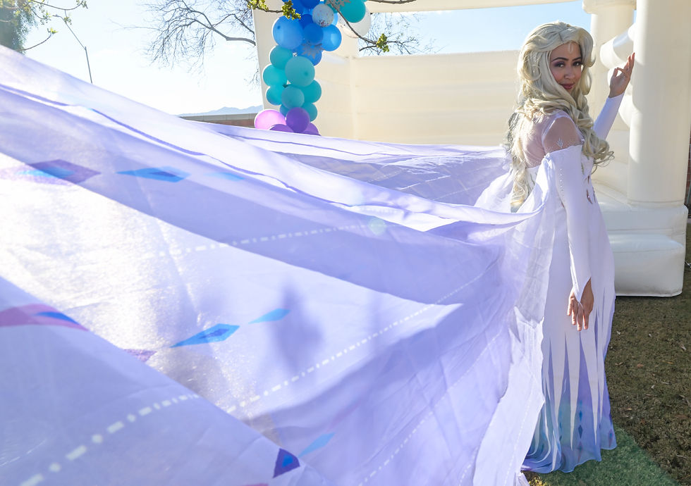 Elsa party princess performer az