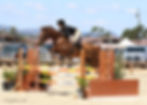 IMG_1271gp