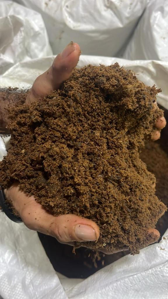 WhatsApp Image 2025-11-06 at 17.33.48.jpeg