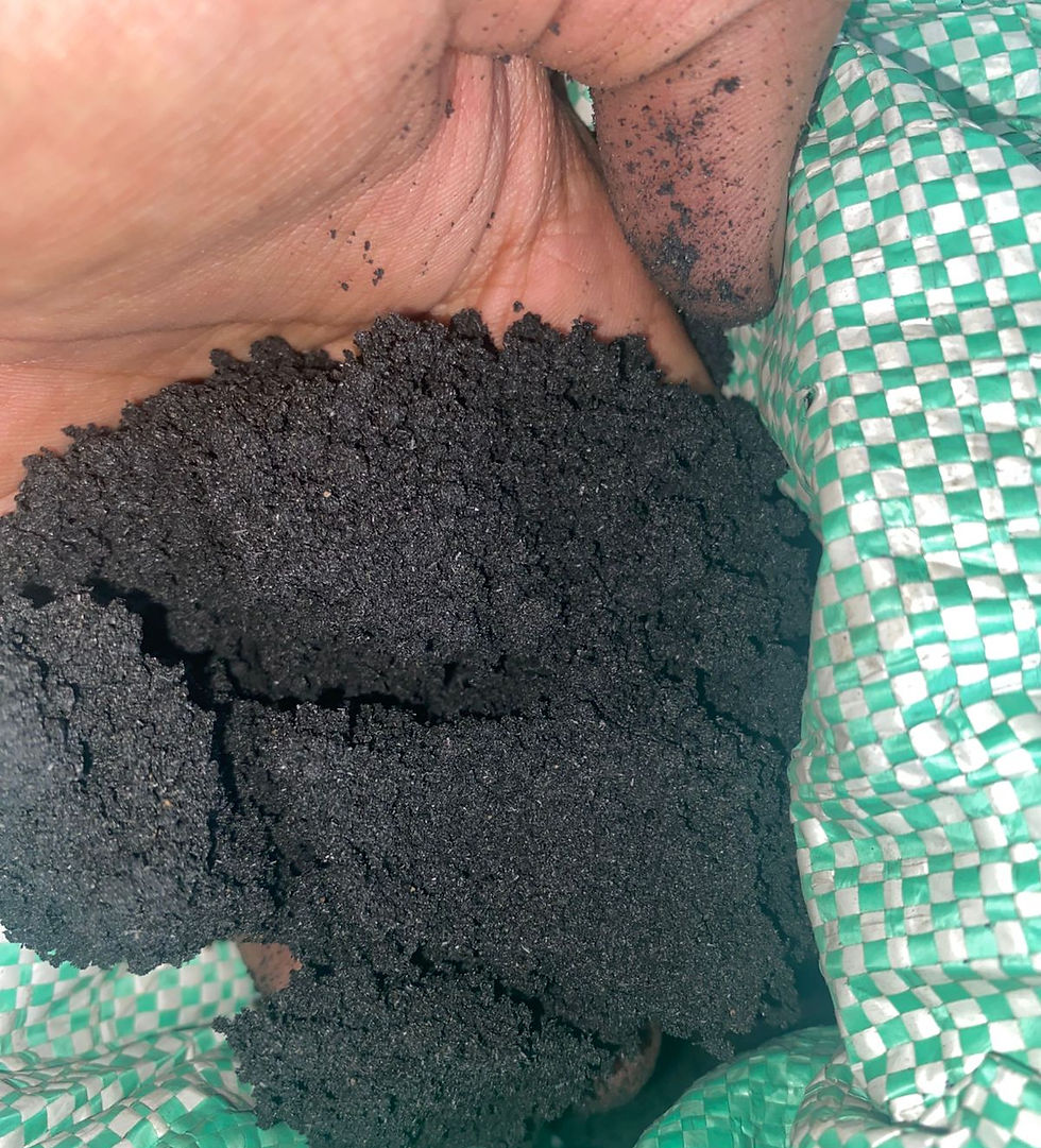 WhatsApp Image 2025-11-05 at 18.47_edited.jpg