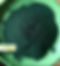 Novalgae Spirulina Powder | NOVAL HUB