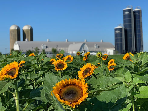 Farm Photo.jpeg