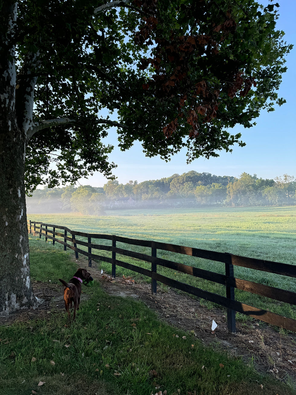 Thumbnail: Photography Location Rental - Huff N Puff Farm