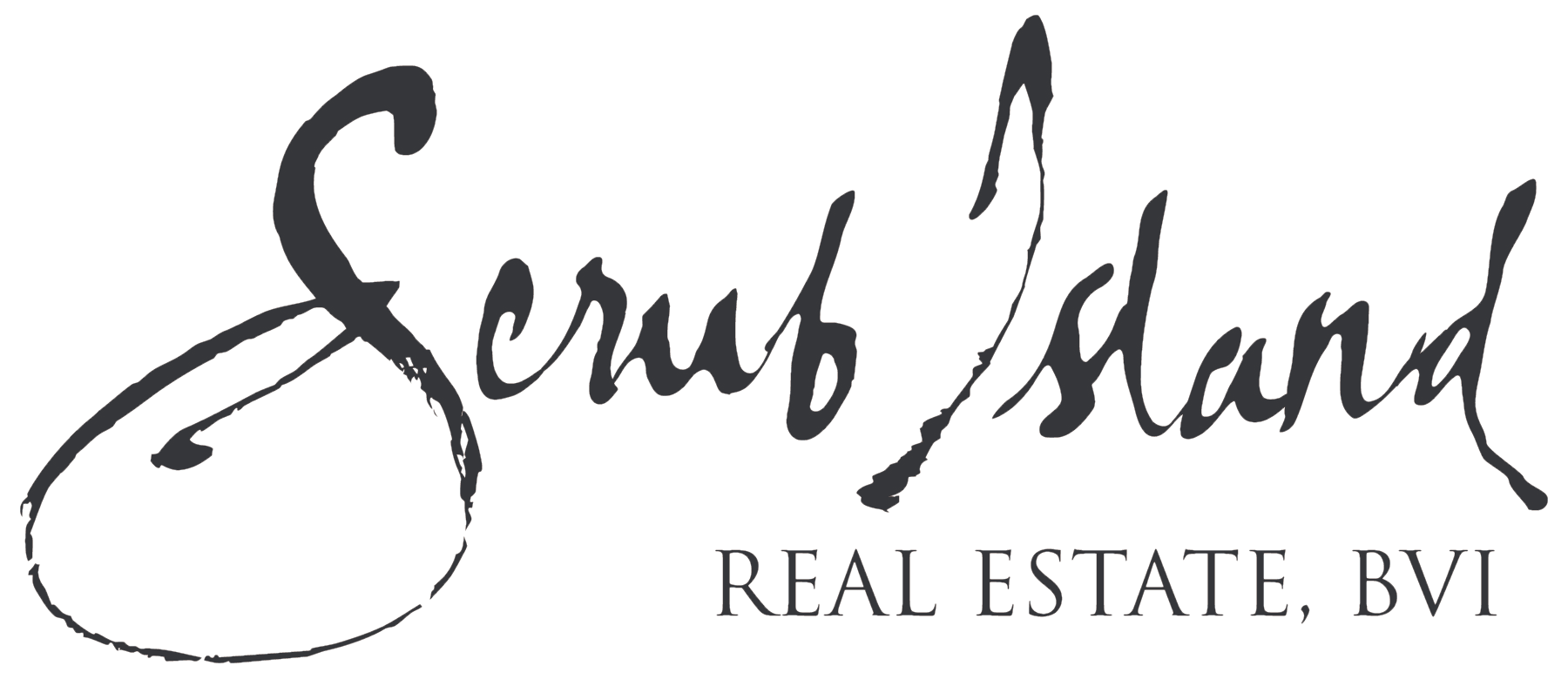 SI_LOGO_RE_BVI_BW_edited.png