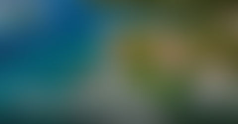 Why the British Virgin Islands are a prime location for private investment