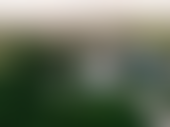 Usina Petribu vence Prêmio do IAC; veja vídeo com Jorge Petribu