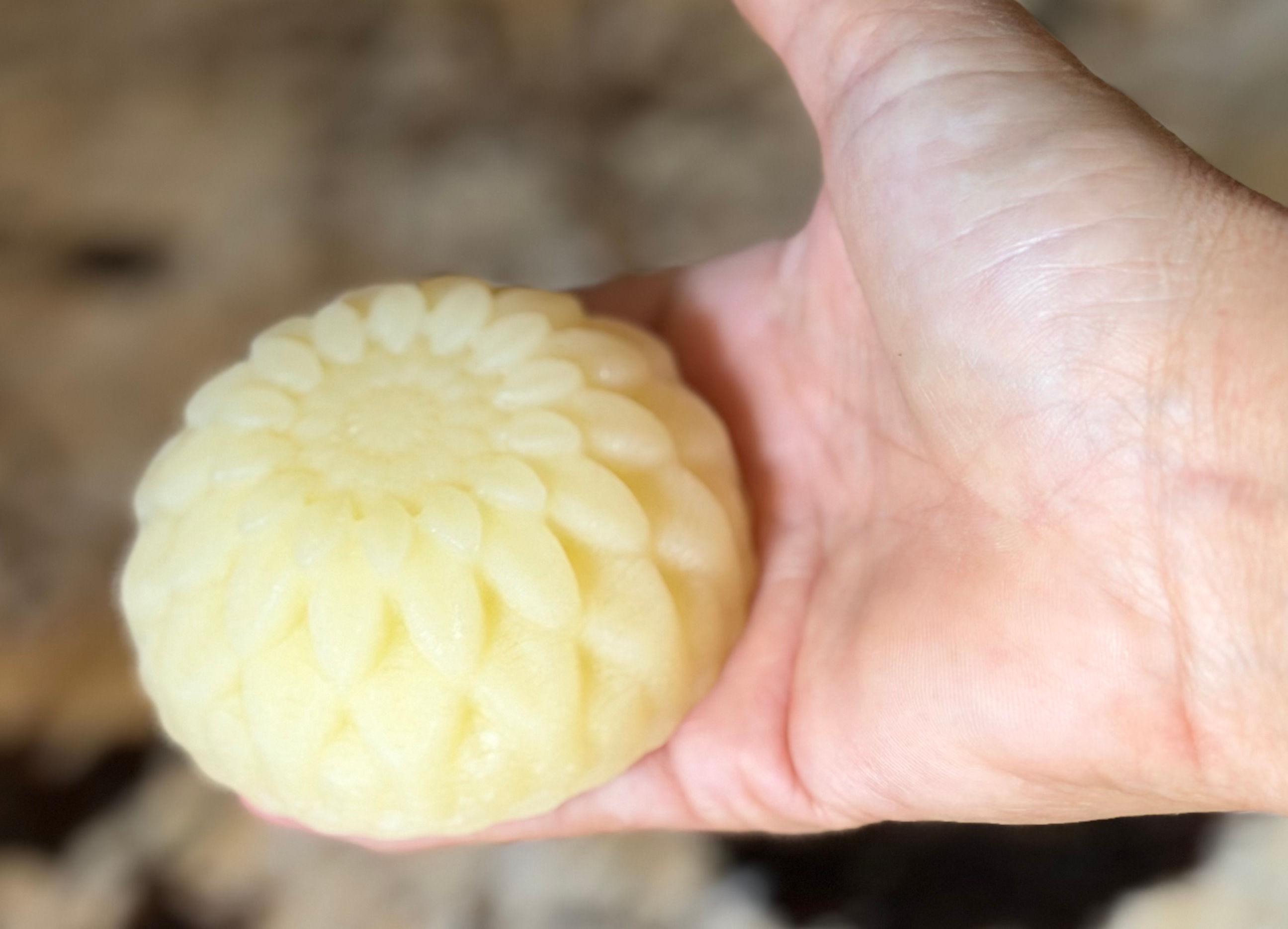 Large Conditioner Bar