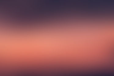 Introducing: Laszio and Eran