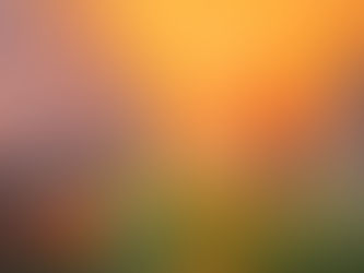 Sunsets, Swings, and Hobbits