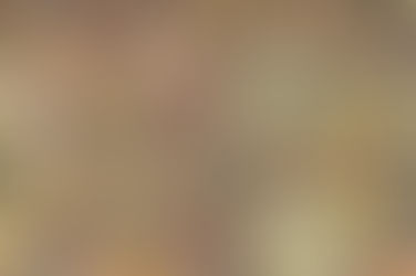 107 Facts about the Bible!