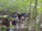 Backpacking