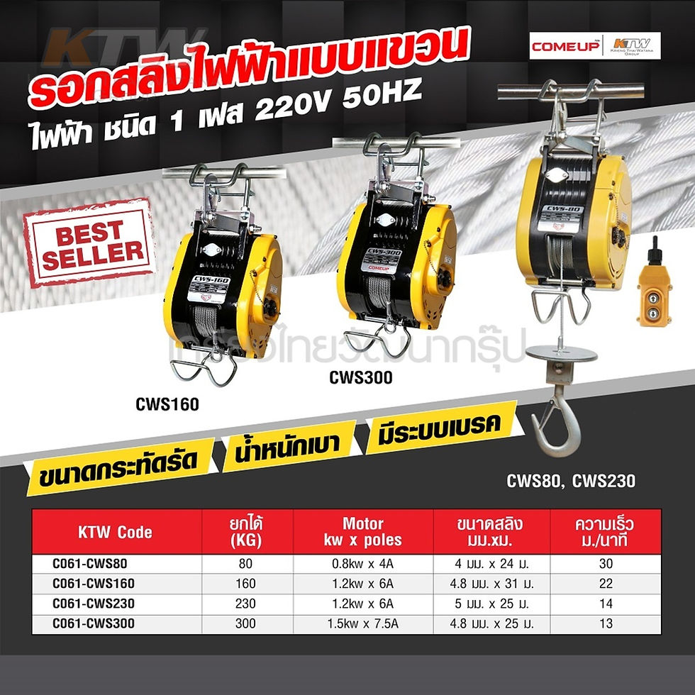 Thumbnail: รอกสลิงไฟฟ้าแบบแขวน CWS-300