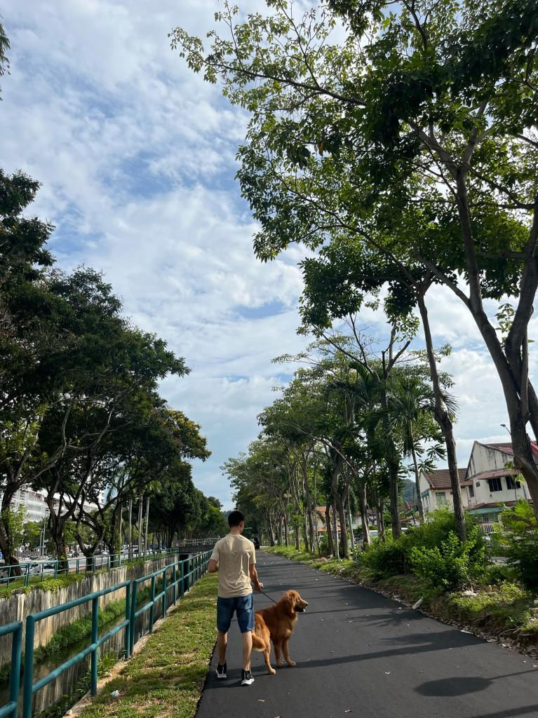 Dog Walker